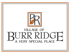 Burr Ridge Wedding Dress Cleaning Preservation Restoration
