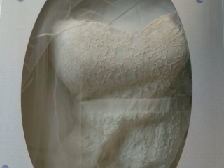 Ellyn Romes Boxed Gown 576x1024