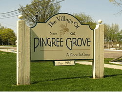 Pingree Grove Wedding Dress Cleaning Preservation Restoration