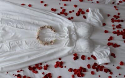 How to Store a Wedding Dress in the Loft in Chicago?